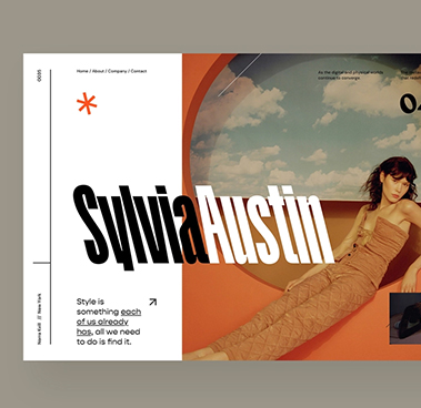 Portfolio item 12